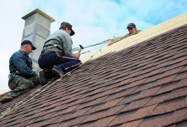 Best Shingle Roofing Installation  in Dupont, PA